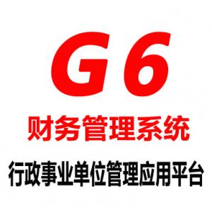 G6财务管理系统-甚其层医疗卫生机构专版