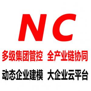 用友NC大型企业管理与电子商务平台