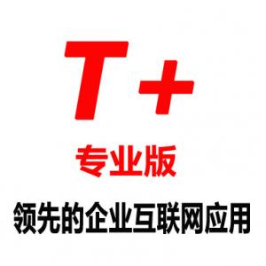 T+专业版介绍