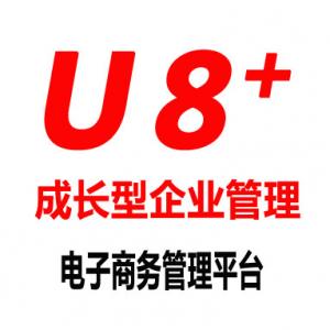 用友U8+ 成长型企业管理与电子商务平台